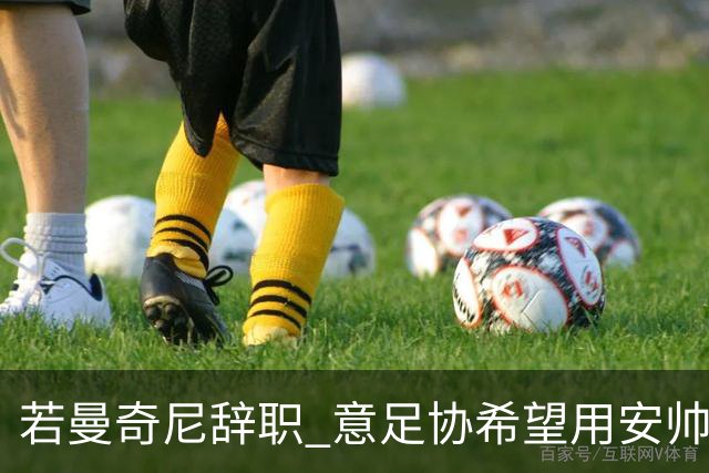 若曼奇尼辞职 意足协希望用安帅或卡纳瓦罗替代
